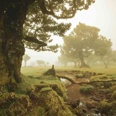 Campo & Mar Porto Moniz