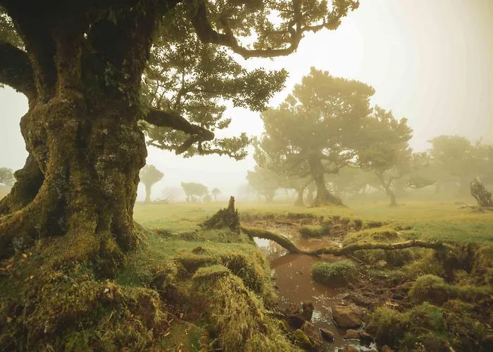 Campo & Mar Porto Moniz